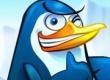 Pengle Pengle