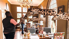 Giraffe Manor unique experience