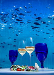 5.8 Undersea Restaurant