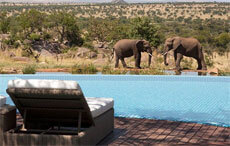 Four Seasons Safari Lodge Pool