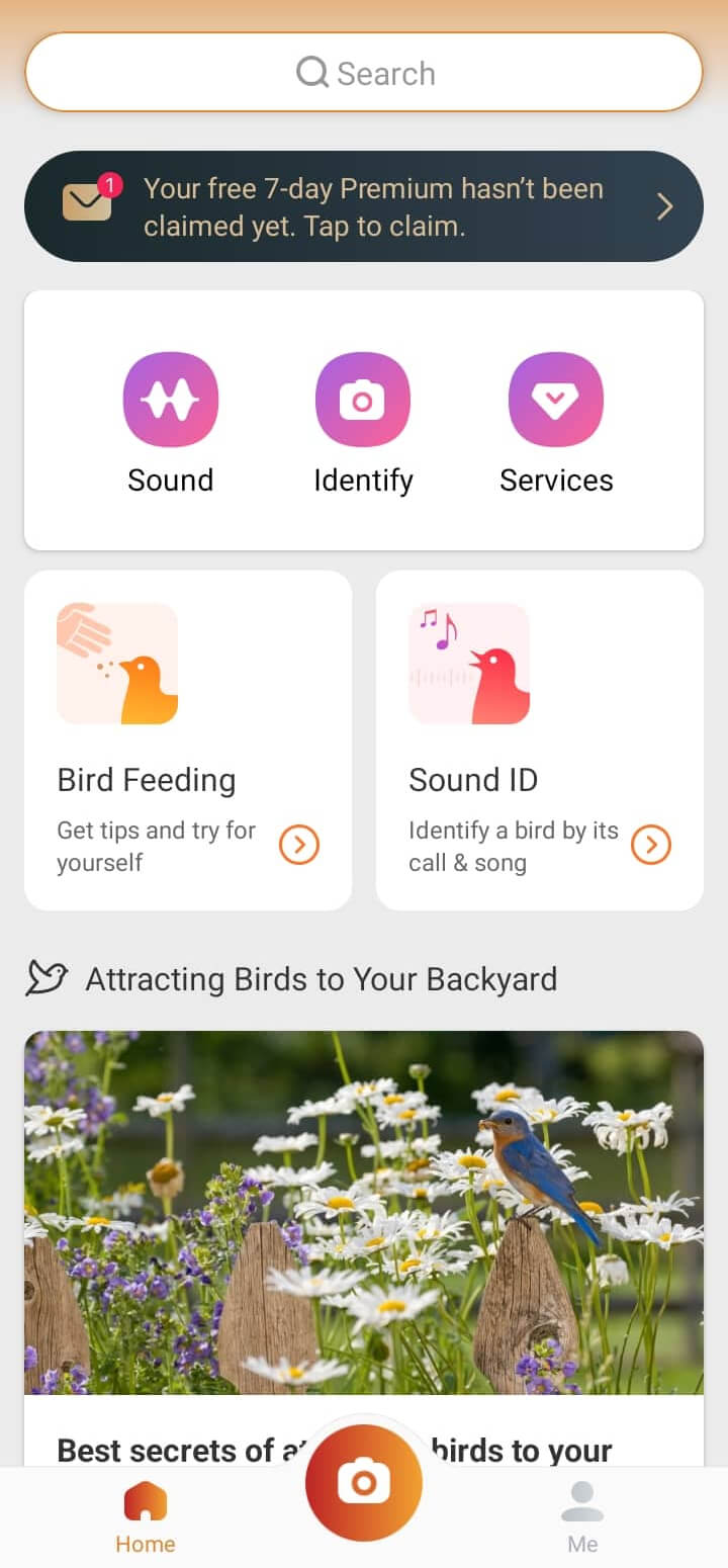 Picture bird bird identifier apps2have