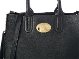 Roberto Cavali handbag in the app
