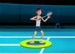 Badminton League game