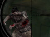 Aiming Down Scope in Z Hunting Day Aiming Down Scope in Z Hunting Day