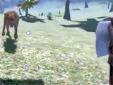 Hunting down animal in the game