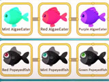 Fish collection in the game
