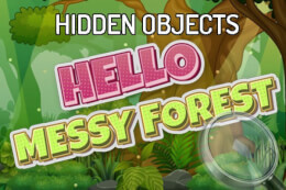 Hidden Objects Hello Messy Forest thumb