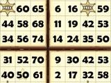 Going for the bingo in Bingo Clash Bingo Clash going for the bingo