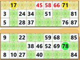 Bingo gameplay in Dr. Bingo Dr. Bingo bingo gameplay
