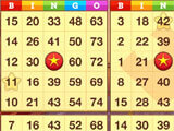 Playing with four cards in Bingo Country Ways by Playcus Bingo Country Ways by Playcus playing with four cards