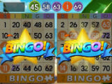 Bingo Adventure - Double Bingo Bingo Adventure - Double Bingo