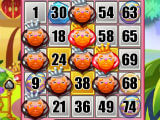 Bingo Dragon Bingo Dragon