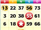 Tropical Bingo Tropical Bingo