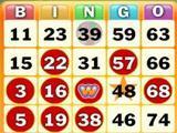 Wingo Bingo Wingo Bingo