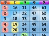 Game Play on Bingo Beach