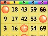 Bingo Beach Bingo Beach