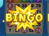 Two-Card Bingo in Bingo Adventure Bingo Adventure Two-Card Bingo