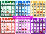 Bingo Master: Checking The Winning Card Bingo Master: Checking The Winning Card