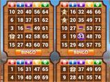 Playing with 4 cards in Wild Bingo Wild Bingo playing with 4 cards