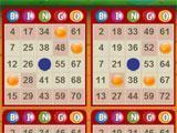 Fun Gameplay in Spin Bingo Spin Bingo Fun Gameplay