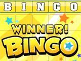 Bingo Casino Win