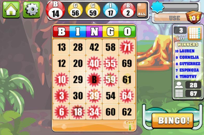 Bingo Casino - Online Bingo Games