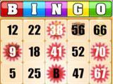 Bingo Casino 2 Card Game