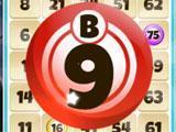 Bingo Fever - World Trip B-9