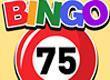 Bingo 75 game