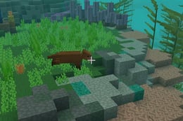 Marine Biologist Roleplay thumb