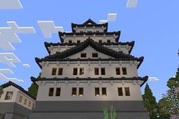 The Mystery of the Kodokan thumb