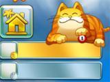 Cute Cat on Bingo Beach!