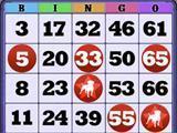 Zynga Bingo Zynga Bingo