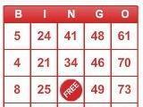 BINGO! BINGO!