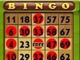 Bingo Island Bingo Island