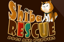 Shiba Rescue: Dogs and Puppies thumb