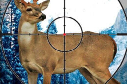 Sniper Stag Hunter thumb