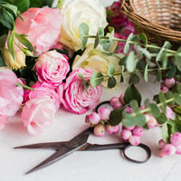 Modern Flowers: Arranging a Stunning Centerpiece thumb