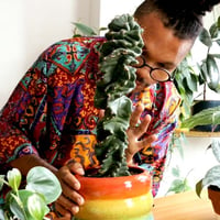 Plants at Home: Uplift Your Spirit & Your Space  thumb