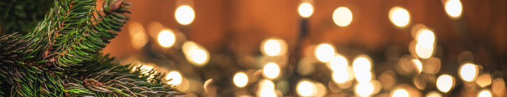 Why is a Commercial DNA Kit is the Best Christmas Gift? preview image