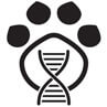 Why You Should Test Your Dog’s DNA?