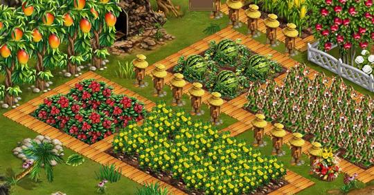 Harvest your crops in Coral Isle