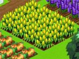 My Happy Farm Daily: Managing the Crops