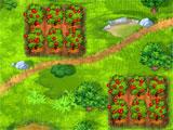 Fruits Inc Apple Patches