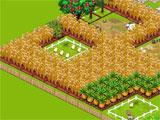 Country Story: Growing Crops