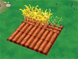 Barn Story Barn Story