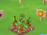 Clicker Farm Tomato Patch