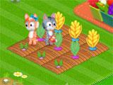 Woolly Valley Farm