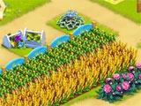 Beautiful farm in Golden Acres Golden Acres beautiful farm