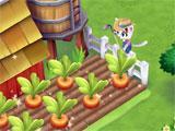 Kitty City growing crops